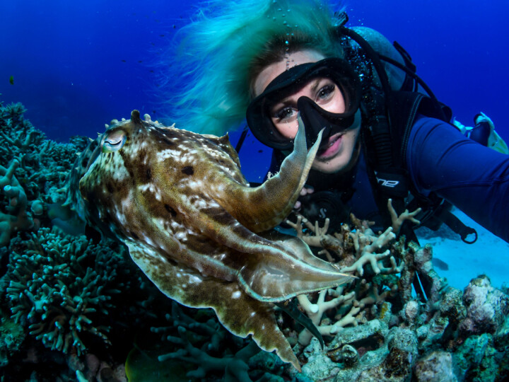 Mette Thue flyttet fra Kongsvinger og slo seg ned i Australia.