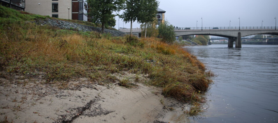 Flomvollen er planlagt fra Gjemselund bru, men det er usikkert hvor lang den nå vil bli..