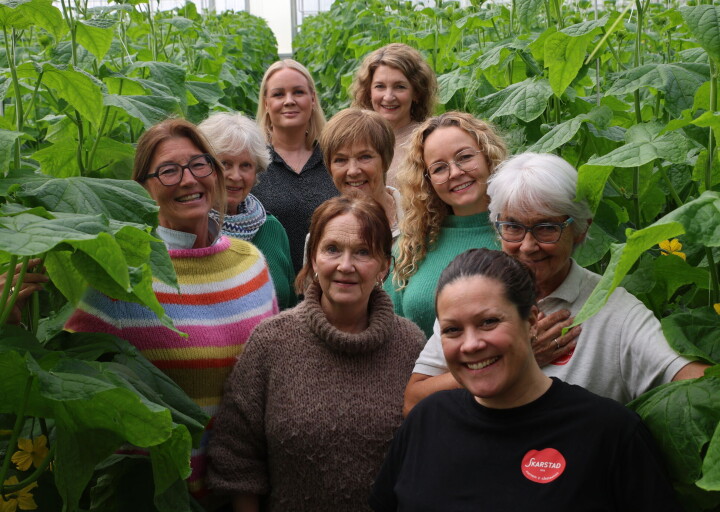 Denne gjengen var samlet i dag for å forberede seg på ny sesong. Foran Siri Holth. Andre rad (f.v.) Berit Liland og Grete Skarstad. Tredje rad (f.v.) Merete Aasvangen og Linda Skarstad Fjerde rad (f.v.) Kari Fulland, og Gerd Nordstrand. Bakerste rad (f.v) Thea Gundersen Tronbrøl og Anette Skarstad.