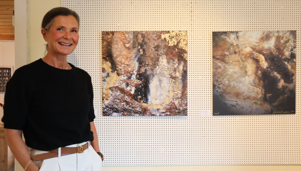 Gunhild Sander Andersen med utstillingen 'Jeg har Z' hos Galleri Asbjørn. Gunhild Sander Andersen med utstillingen 'Jeg har Z' hos Galleri Asbjørn.