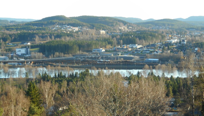 Alpepreg i Kongsvinger på Rasta. Alpepreg i Kongsvinger på Rasta.