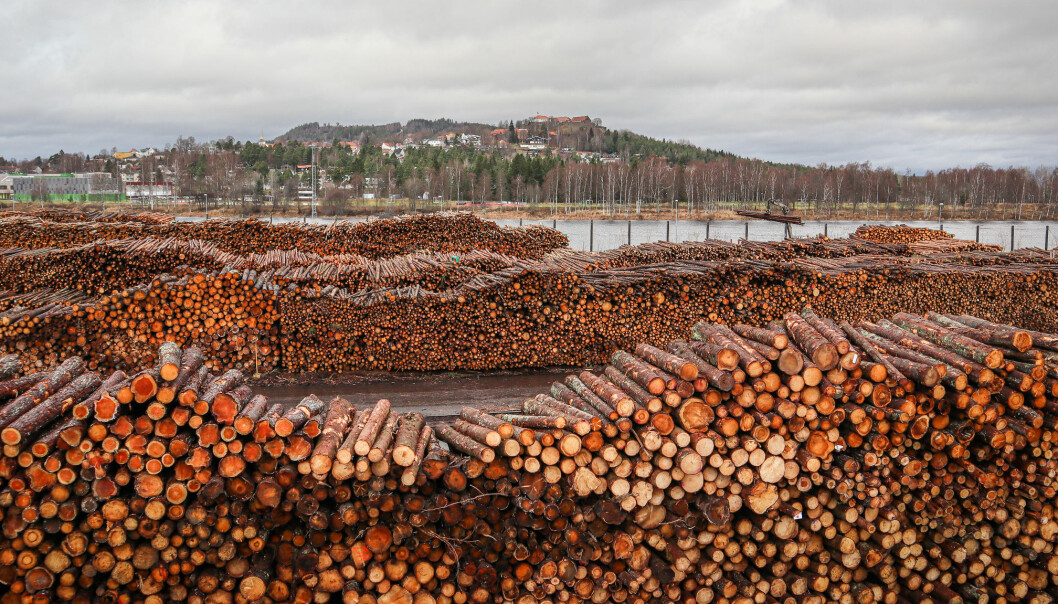 På Norsenga i Kongsvinger har BaneNor gjort tiltak for å øke lagringskapasiteten på tømmer.