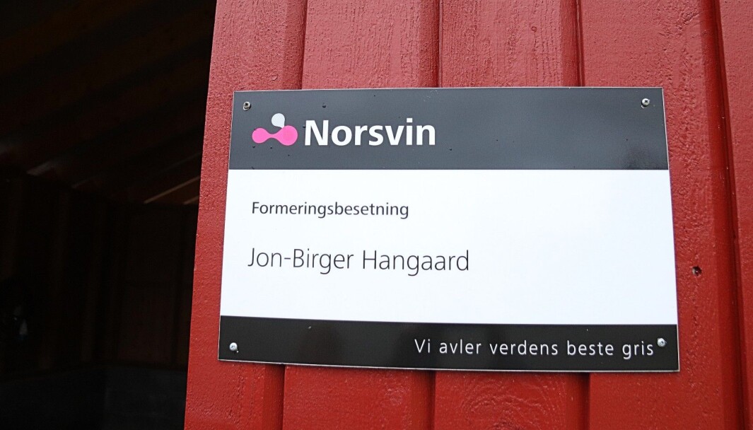 Jon-Birger har jobbet på gården med gris siden 1988. I 2015 ble de formeringsbesetning. Jon-Birger har jobbet på gården med gris siden 1988. I 2015 ble de formeringsbesetning.