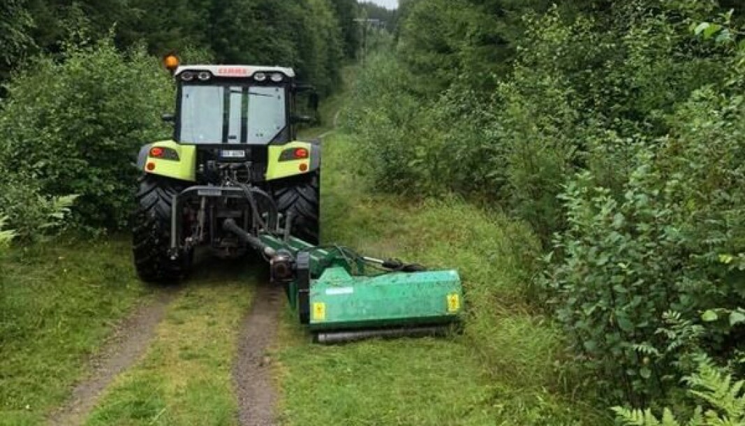 Kantklipperen har vært nettet rundt i sommer og laget god plass til løypemaskinen Kantklipperen har vært nettet rundt i sommer og laget god plass til løypemaskinen