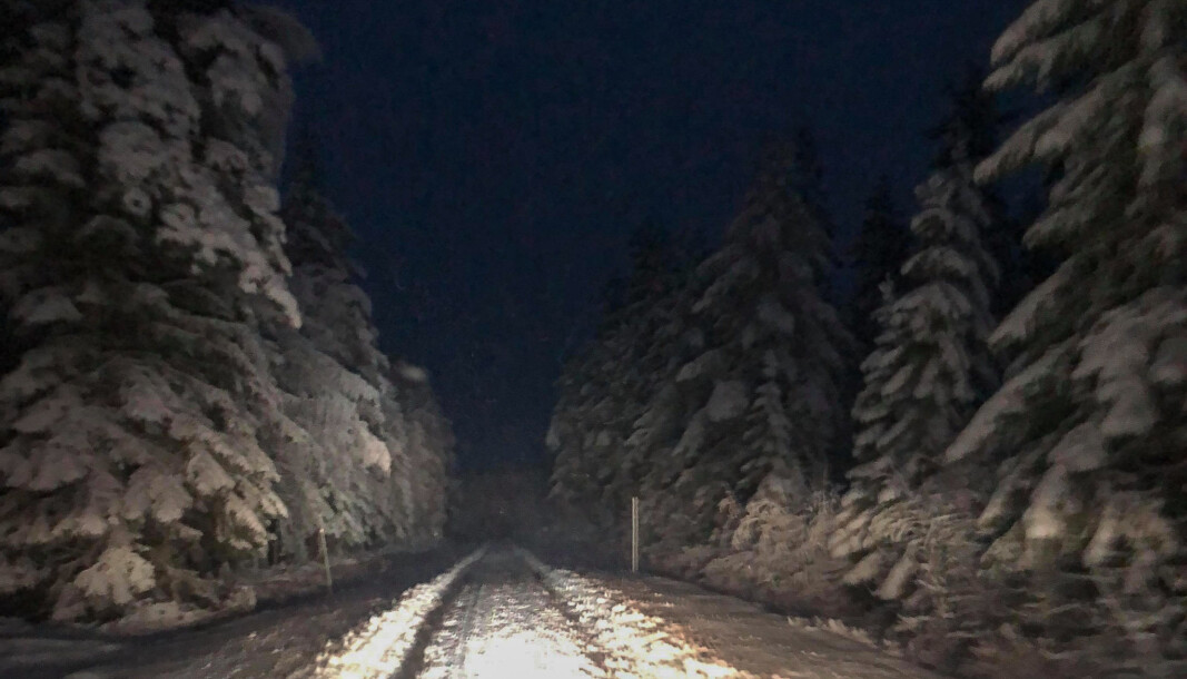 Leserbilde fra Varaldskogen rundt kl 08.30 mandag. Ikke alle veier får nødvendig vedlikehold samtidig, og Kongsvinger kommune innrømmer i sine generelle retningslinjer at de har en prioritert rekkefølge. Hovedveiene tas først. Leserbilde fra Varaldskogen rundt kl 08.30 mandag. Ikke alle veier får nødvendig vedlikehold samtidig, og Kongsvinger kommune innrømmer i sine generelle retningslinjer at de har en prioritert rekkefølge. Hovedveiene tas først.