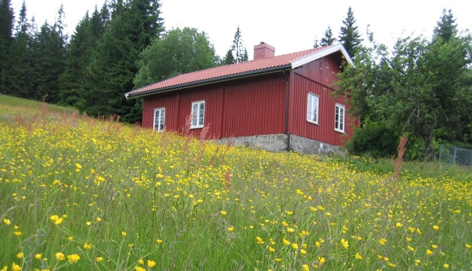 Stømnervangen. Stømnervangen.