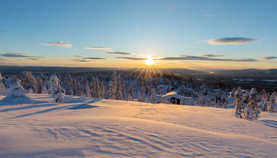 Birkenåsen ligger ved starten av Birken. Området byr på blant annet på muligheter for alpint, langrenn, terrengsykling, golfbane, turområder, jakt og fiske. Birkenåsen ligger ved starten av Birken. Området byr på blant annet på muligheter for alpint, langrenn, terrengsykling, golfbane, turområder, jakt og fiske.