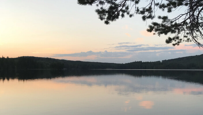 Det kan være riktig så vakkert å gå rundt Bæreia. Det kan være riktig så vakkert å gå rundt Bæreia.