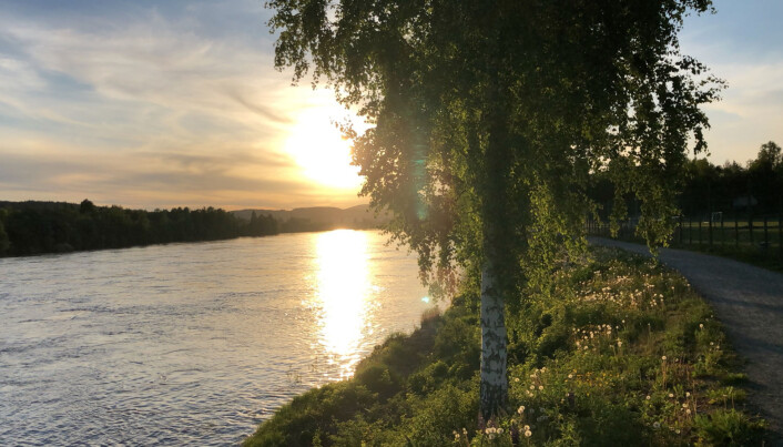 En kveldstur på Strandpromenaden er ikke til å kimse av. En kveldstur på Strandpromenaden er ikke til å kimse av.