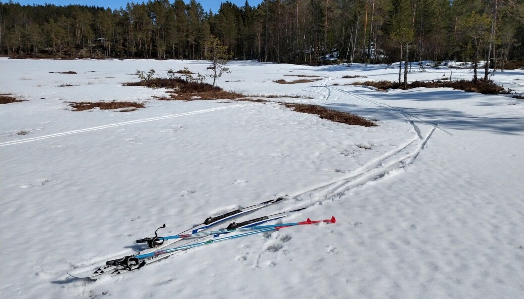 Slik så det ut ved Speismark fredag ettermiddag. Selv om det er gode temperaturer på dagtid, er det fortsatt kjølig på nettene. Slik så det ut ved Speismark fredag ettermiddag. Selv om det er gode temperaturer på dagtid, er det fortsatt kjølig på nettene.