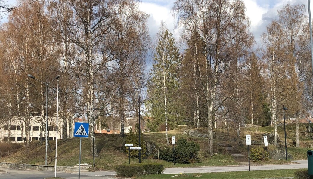 Det blir NM i Byparken til sommeren. Det blir NM i Byparken til sommeren.