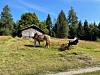 Nå Kan Man Søke Om Tilskudd Til Kulturminner