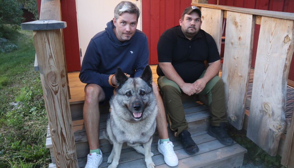 Cato Nytrøen Tråstadkjølen, med elghunden Tiko, og Tony Larsen i Kongsvinger jeger og fiskeforening, opplever stor interesse for jakt og friluftsliv.