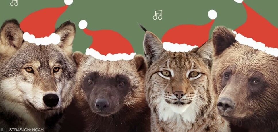 Pengeinnsamling og bevisstgjøring når dyrevernere arrangerer nettsendt konsert i kveld.