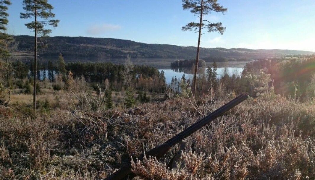 Fra nyttår vil Statskog selv stå for salg av jaktkort på småvilt og rådyr på Statskogs store skogeiendom på Varaldskogen.