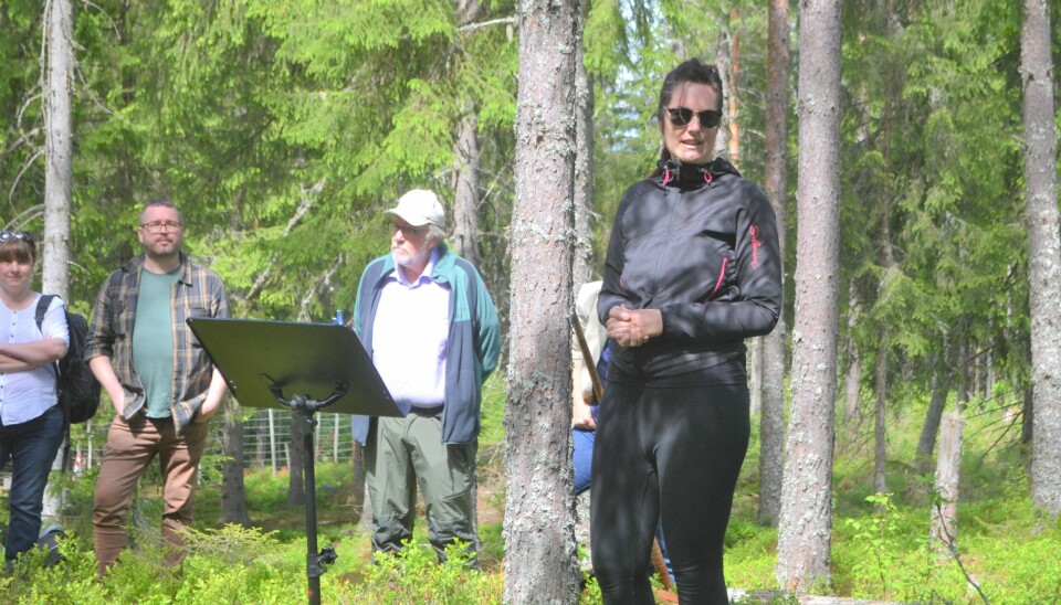 Ann Kristin Torgersen Aamodt er styreleder i Brandval Utvikling. Hun håper opprustningen av turstiene og arbeidet som er gjort i Gruvåsen, vil sette bygda på kartet.