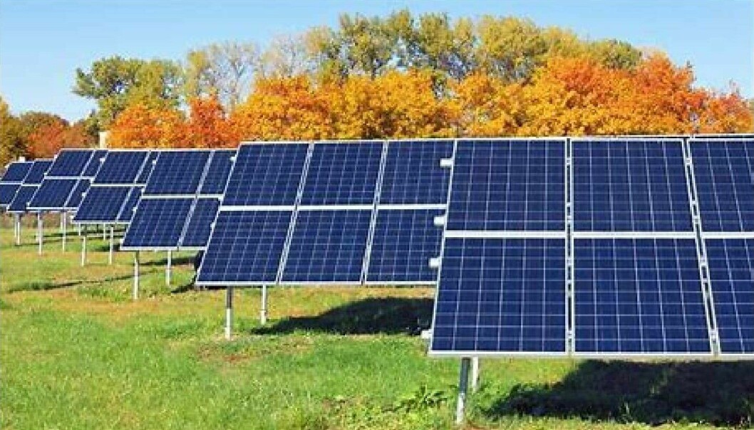 Solcellepaneler vil oppta omtrent halvparten av det 1,8 mål store området som kan bli solcellepark på Lundersæter.