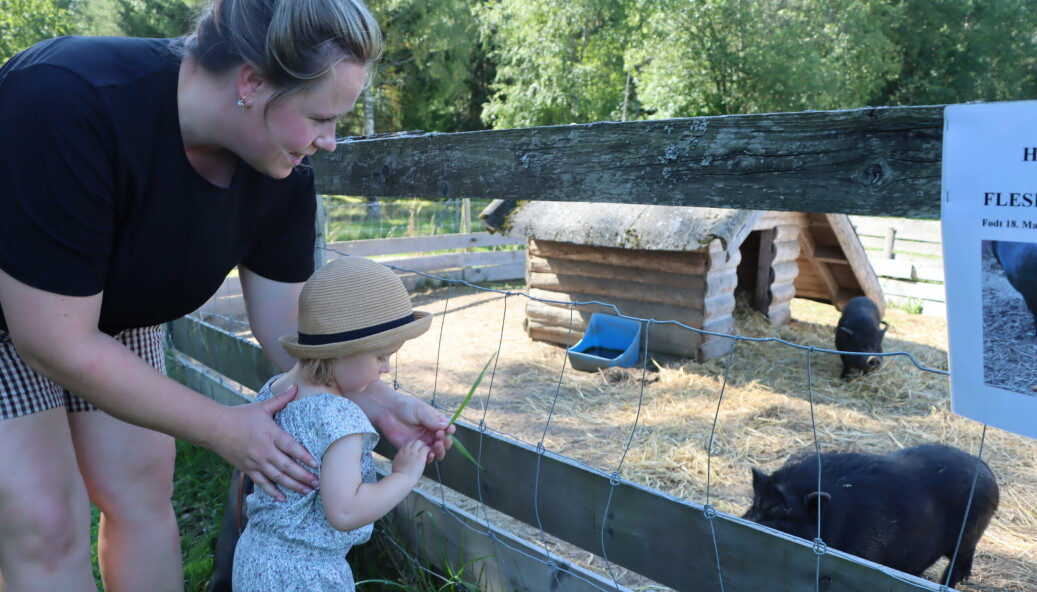 Marie Noer med datteren Liv Noer-Hangaard hilser på grisene.