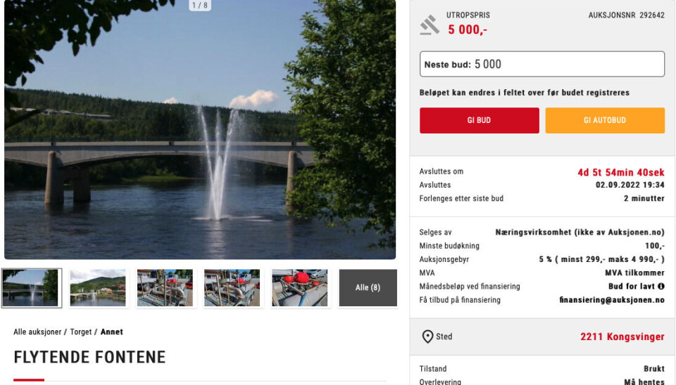 Fontenen som ble delvis finansiert av innbyggerne ligger nå ute for salg.