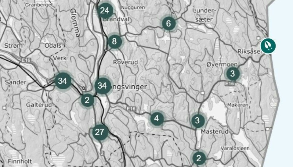Tall fra Hjorteviltregisteret viser at det var 153 viltpåkjørsler i Kongsvinger i 2022