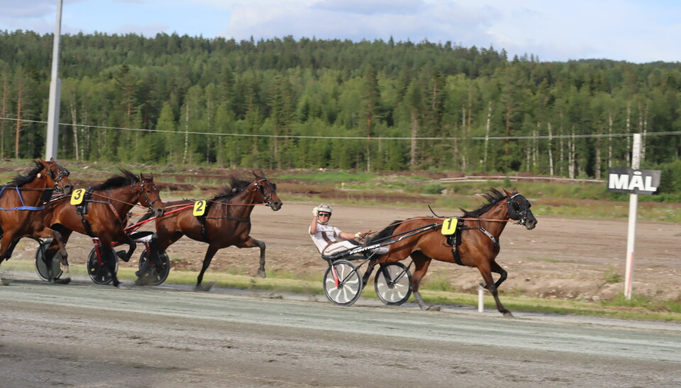 Vemund Madsen Drolum og hesten Bear Man gikk inn til seier i første løp.
