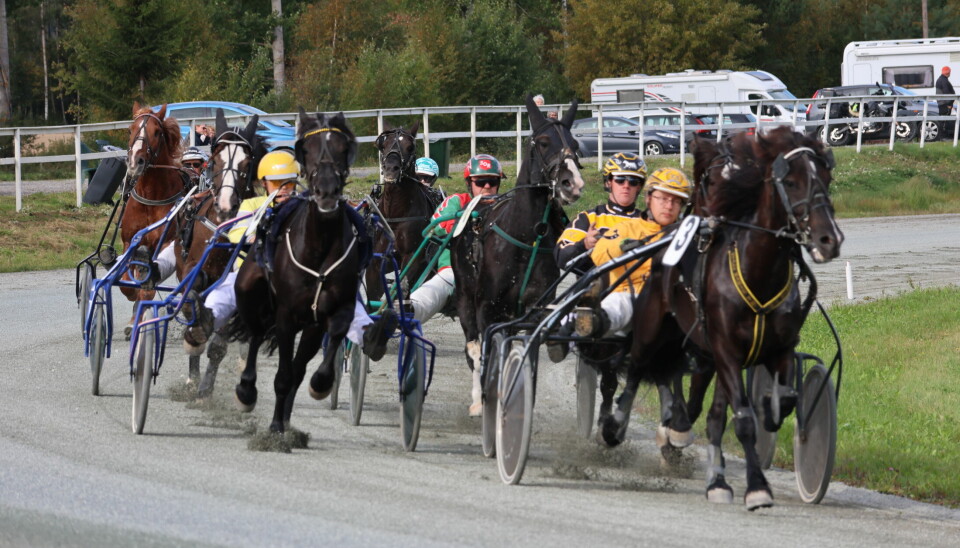 Kenneth Brenden fra Magnor med hest nummer 3 Fuskerud Prinsen vant Ragnvald Humborstads æresløp på Kongsvinger travbane lørdag.
