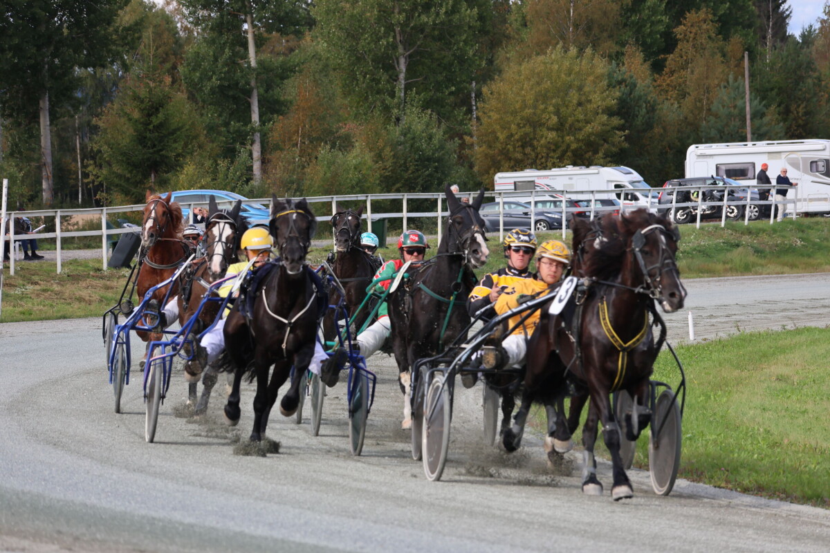 AQShda porno toda portlashi